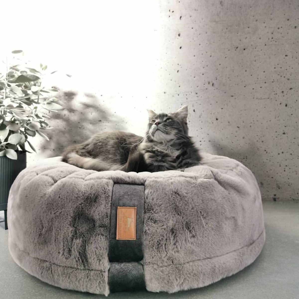 Hyggebed® - The Orthopedic Cat Bed Stone