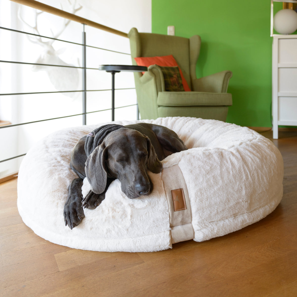 Hyggebed® - Das orthopädische Hundebett Ivory