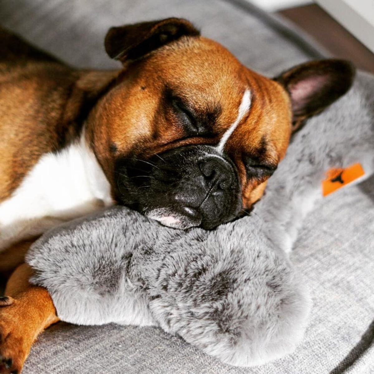 Boxer Hund schläft auf dem grauen Kuschelkissen Hyggebone Stone